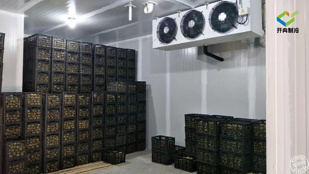 建造一个100吨的水果保鲜冷库多少钱？
