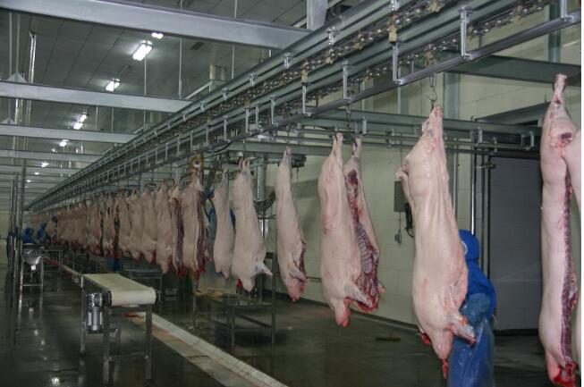 屠宰场车间和冷库设计:关键要点与最佳实践解析
