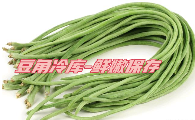 豆角工业冷库：鲜嫩保存，一年四季供应