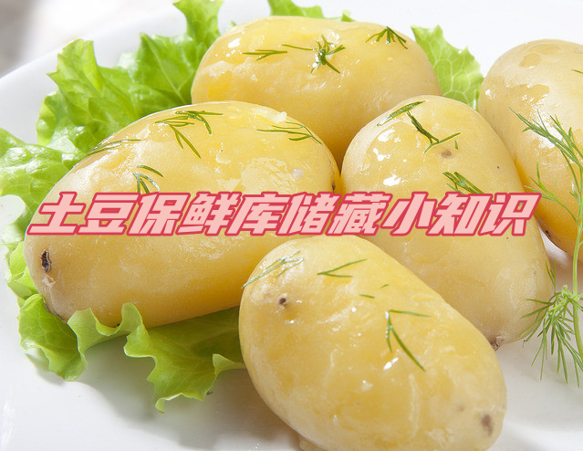 土豆保鲜库储存方法解析，延长土豆保鲜期的秘诀