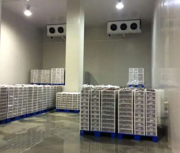 规范建造100平带鱼冷库，为食品保鲜护航