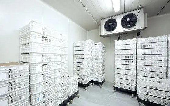 20平海鲜冷冻造价要多少？_开冉制冷