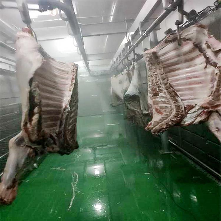 急速排酸库和恒温排酸库的区别_上?？街评?></a></dt>
<dd>
<h5>
<a href=