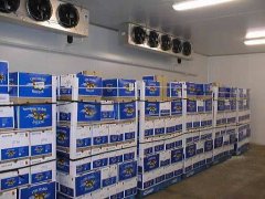 安装一个500平方高温冷库大概多少钱