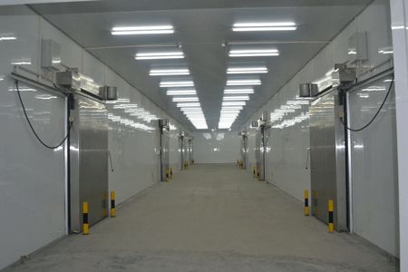 3000平方米左右冷库