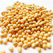 鲜黄豆冷库设计安装造价，冷库保鲜温度是多少