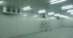 5000吨大蒜需建多大冷库，冷库造价多少钱