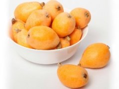 枇杷冷库贮藏技术介绍，枇杷冷库造价是多少