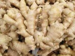 建个1000吨生姜冷库大概需要投资多少钱？