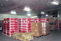 3000立方米水果保鲜库需要投资多少钱?