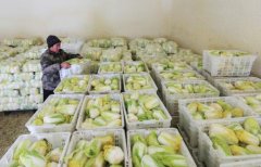山东大型蔬菜冷库安装造价需多少钱