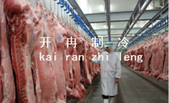 上海1000吨肉类冷库设计，冷库造价需要多少