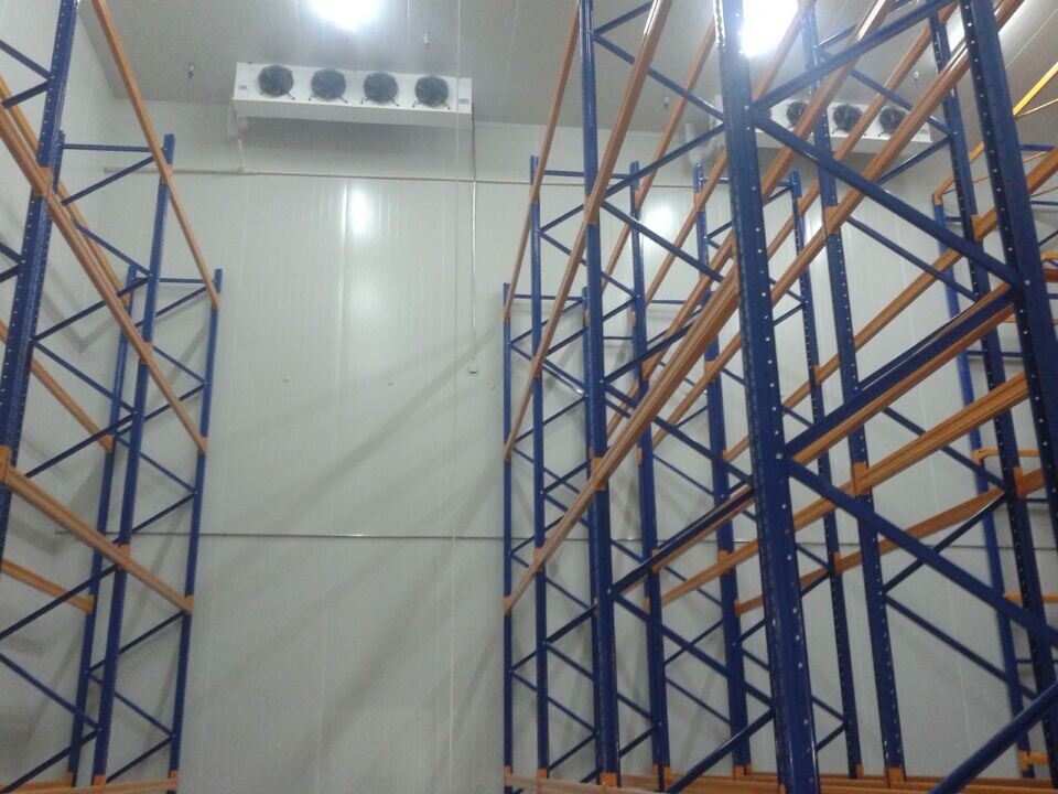 1000吨大姜冷库
