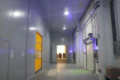 建一个10000立方米大型冷库需要花多少钱?