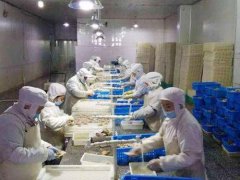 3000立方水产鱼虾冷藏库更新造价单