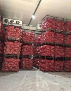 山东3000平米果蔬保鲜库安装造价是多少？