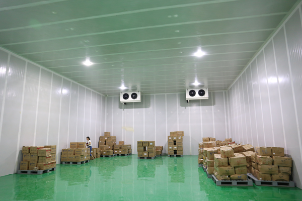 建800平米鲜玉米冷冻库，-18℃冷冻库造价多少