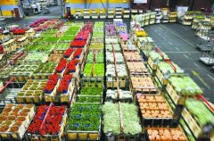 800平米鲜花保鲜冷库安装费用是多少？