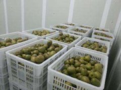 4000立方气调冷库安装要多少钱？