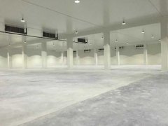 新建1000平方农产品冷藏库大概要多少钱？