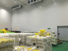 1000平方米果蔬冷库安装需要多少钱？