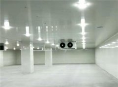 建个一万平出租型冷库大概需要投资多少钱？