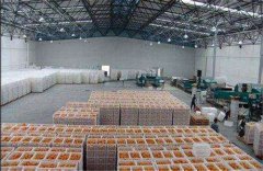 新建一个存放丑橘保鲜冷库，大概需要多少造价？
