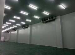 深圳金瑞凯利生物建造100㎡高标准医药冷库（冷冻冷藏库）工程案