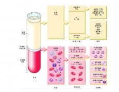 -30℃～-80℃血浆蛋白低温冷冻库规范，冷库安装价格