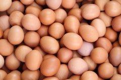 河北建造2-5℃鸡蛋保鲜库的冷库预算是多少?