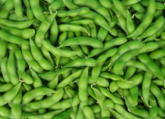 小型蔬菜冷库