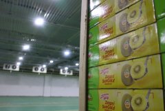 哪些是1000吨小型冷库建造价格因素？