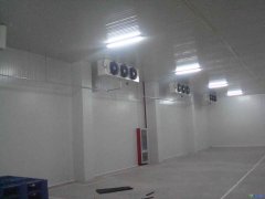 GSP医疗冷库2-8℃冷库建设报价，案例