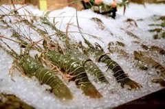海鲜保存温度?海鲜冷冻库价格多少钱