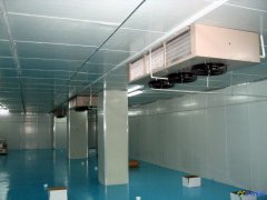 设计一个700吨冷冻库造价多少钱?冷藏库设备报价