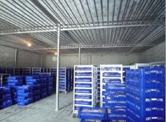 200吨葡萄保鲜库建造,1000m3葡萄放冷库可以放多久