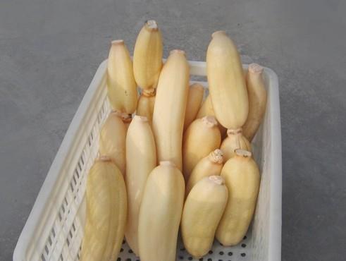 100吨的莲藕怎么保鲜，莲藕保鲜库设计及造价