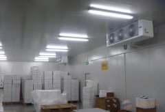 大型2-8℃试剂冷库医药冷库建设,体外诊断试剂冷库