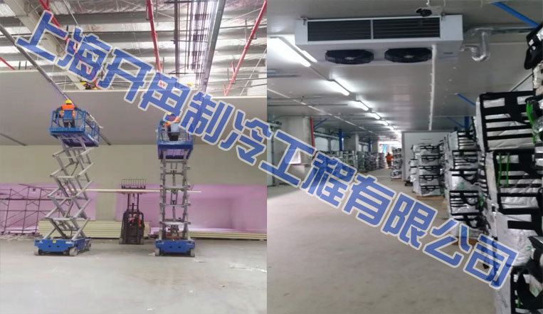 本来生活2万立方米生鲜电商冷库，恒温库设计