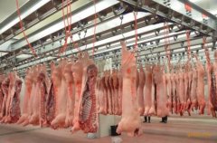 上海安装600平米肉类冷冻库价格是多少，600平米冷库的耗电量怎样