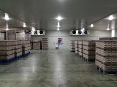 安装1300吨水果冷藏库预算是多少？后期用电能耗大吗？