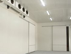 竹笋气调库预算成本是多少？竹笋的保存方法