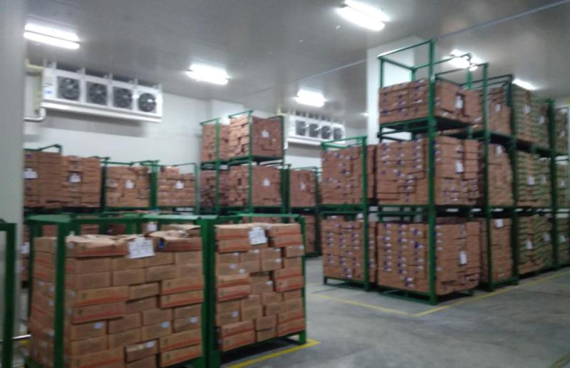 1000吨食品冷冻库设计，制冷设备大概需要多少钱