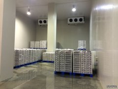 1000吨低温冷库安装流程、设备、造价