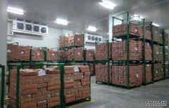 -18~-25℃冷冻食品冷库、-35℃食品加工冷库规划造价多少钱