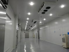 屠宰厂冷库制作建造，排酸冷库的建造有哪些要求？
