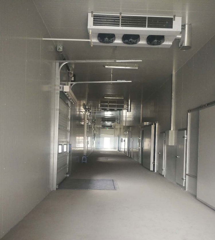 -25℃低温海鲜鱼肉加工厂冷冻库安装设计标准费用多少？