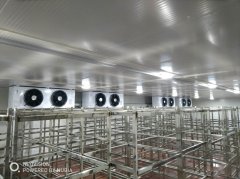 冷冻库造价一平米价格怎么算？冻库一立方的造价是多少钱