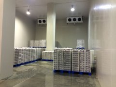 500平米食品冷库建造工程，冷库需投资多少钱