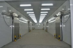 快速制冷、速冻冷库每立方米造价多少